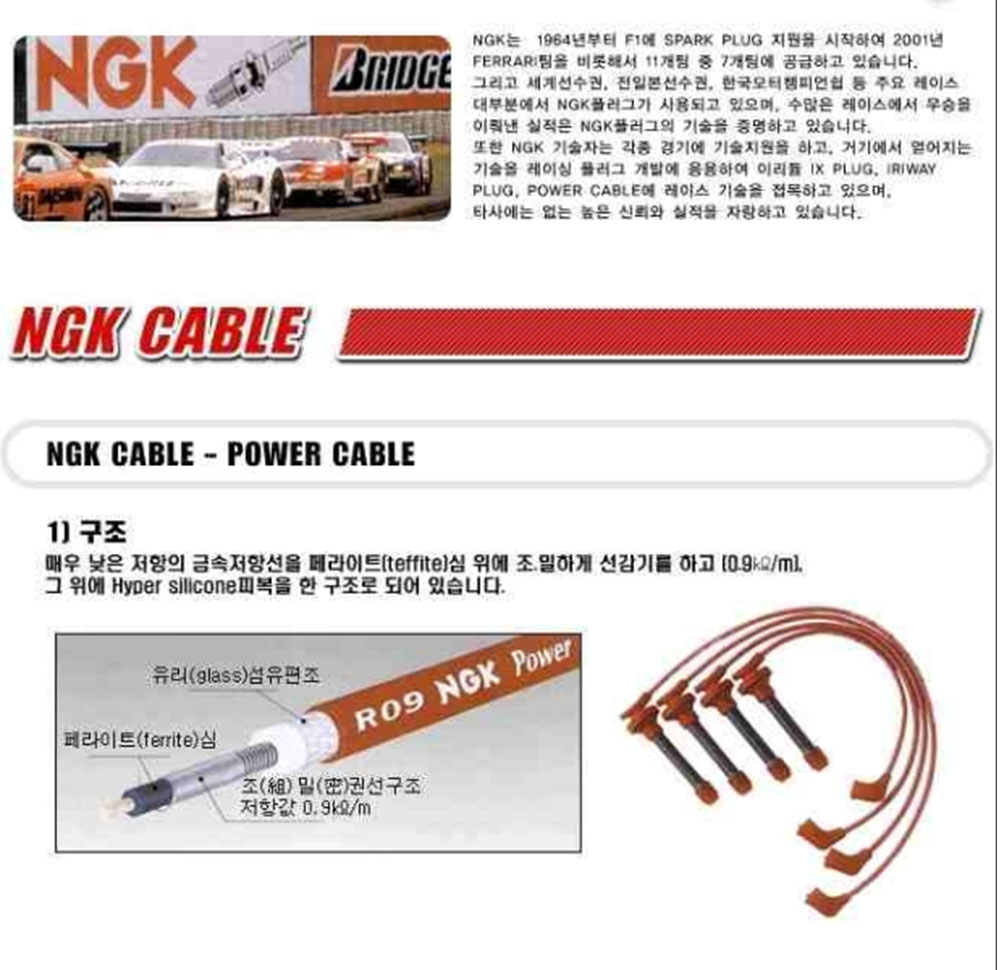 NGK 파워케이블 (6기통)